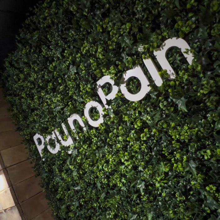 Paynopain