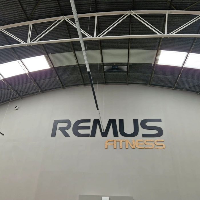Proyectos remus